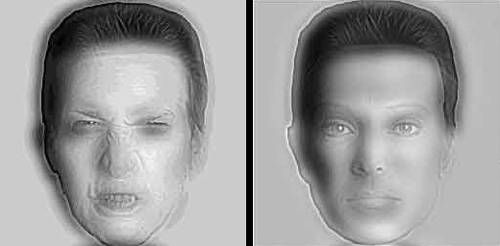 Faces