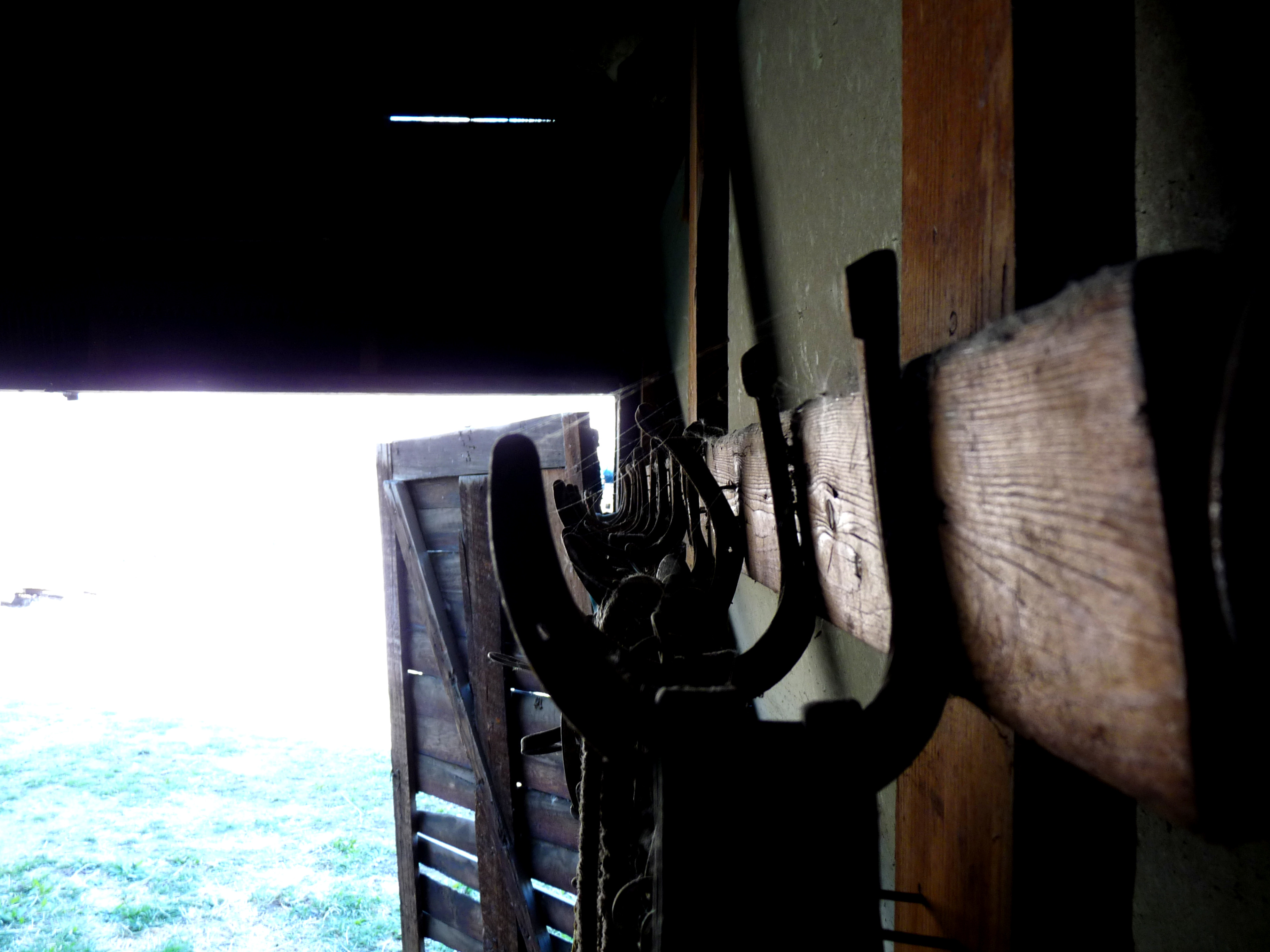 Horseshoe Hangers