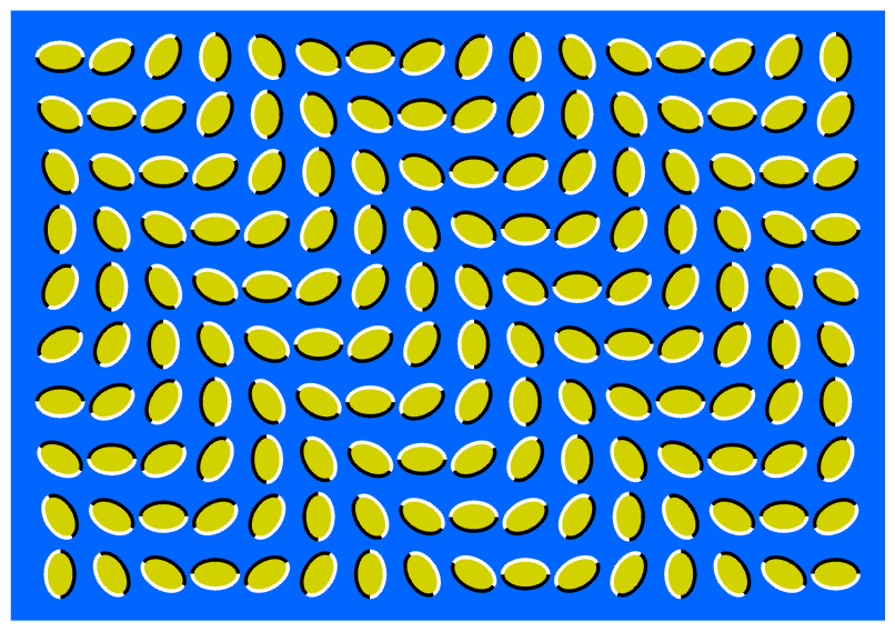 Rice Wave